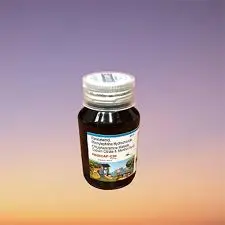 Dicyclomine Hydrochloride Syrup